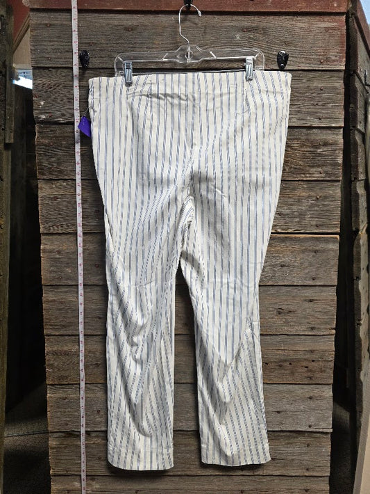 Chico's Pinstripe Pull on Pants Sz 16R