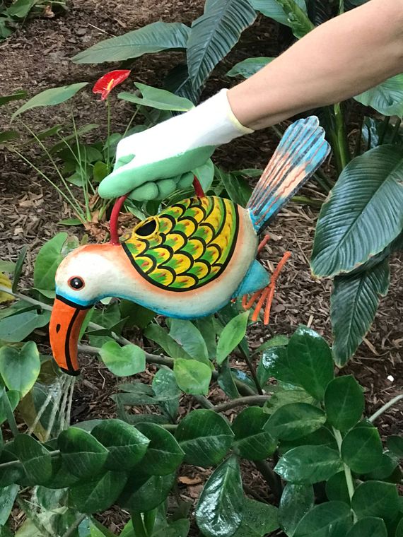 Torrie The Toucan Plant Pals Water Can