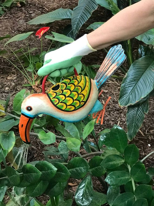 Torrie The Toucan Plant Pals Water Can